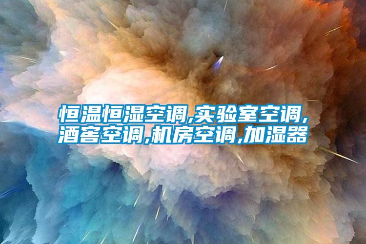 恒溫恒濕空調,實驗室空調,酒窖空調,機房空調,加濕器