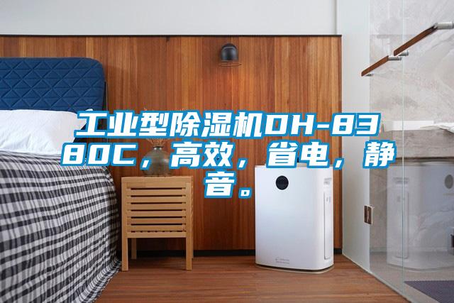 工業(yè)型除濕機DH-8380C，高效，省電，靜音。