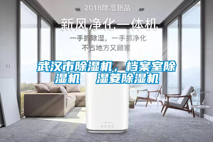 武漢市除濕機，檔案室除濕機  濕菱除濕機