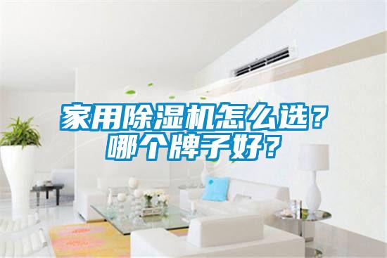 家用除濕機怎么選？哪個牌子好？