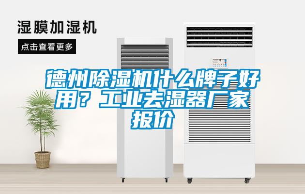 德州除濕機什么牌子好用？工業(yè)去濕器廠家報價