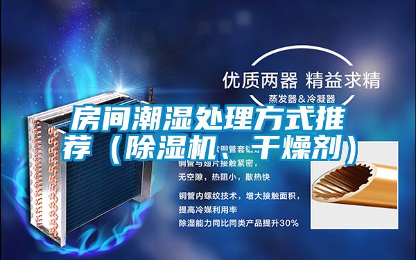 房間潮濕處理方式推薦（除濕機、干燥劑）