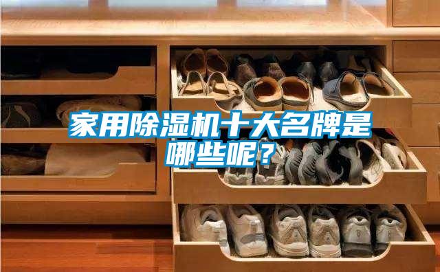 家用除濕機十大名牌是哪些呢？