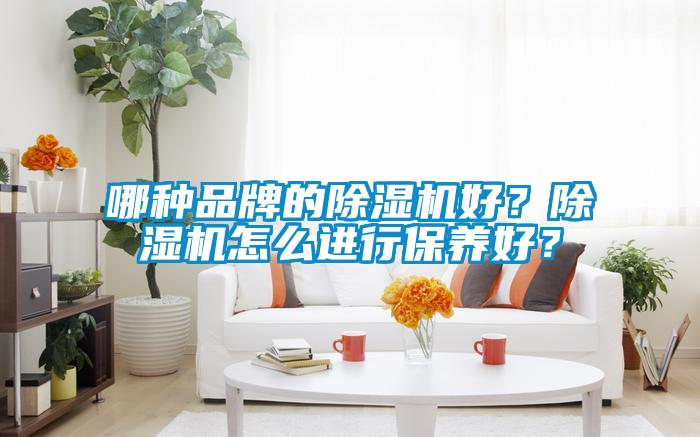 哪種品牌的除濕機(jī)好？除濕機(jī)怎么進(jìn)行保養(yǎng)好？