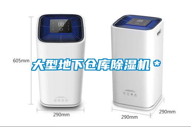 大型地下倉庫除濕機(jī)＊