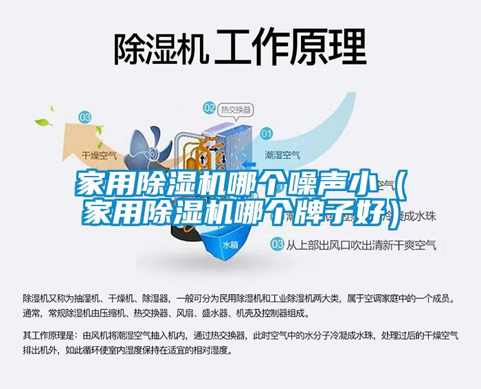家用除濕機哪個噪聲?。矣贸凉駲C哪個牌子好）