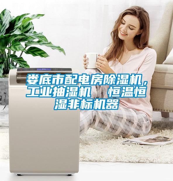 婁底市配電房除濕機(jī)，工業(yè)抽濕機(jī)  恒溫恒濕非標(biāo)機(jī)器