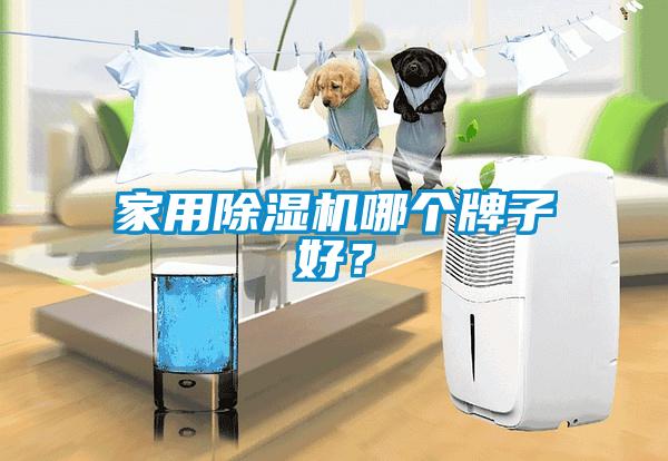 家用除濕機哪個牌子好?