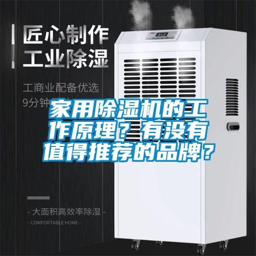 家用除濕機的工作原理？有沒有值得推薦的品牌？