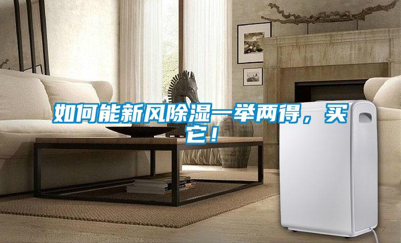 如何能新風(fēng)除濕一舉兩得，買它！