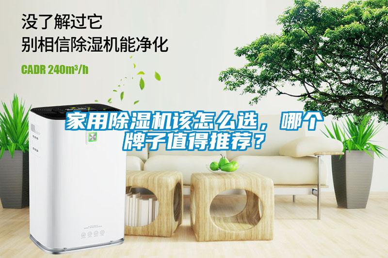 家用除濕機該怎么選，哪個牌子值得推薦？