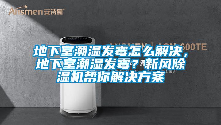地下室潮濕發霉怎么解決，地下室潮濕發霉？新風除濕機幫你解決方案
