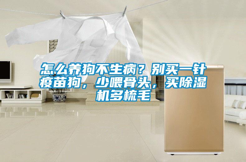 怎么養狗不生病?別買一針疫苗狗,少喂骨頭,買除濕機多梳毛