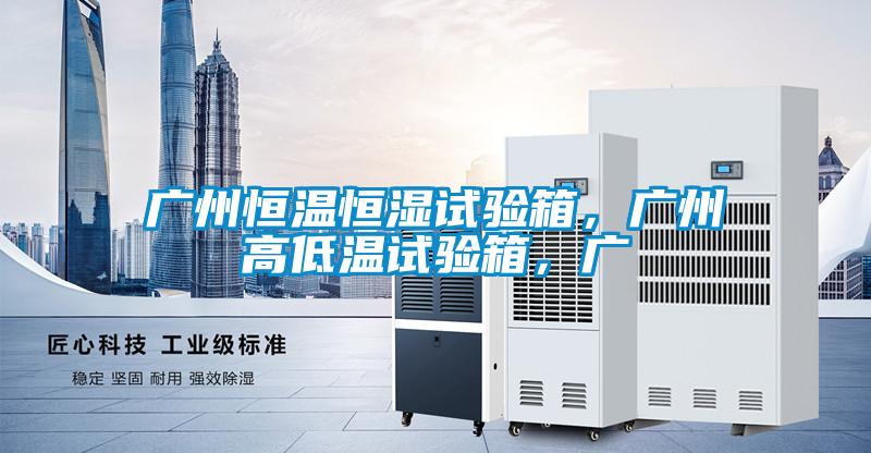 廣州恒溫恒濕試驗箱，廣州高低溫試驗箱，廣