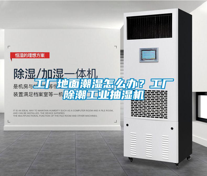 工廠地面潮濕怎么辦？工廠除潮工業(yè)抽濕機(jī)