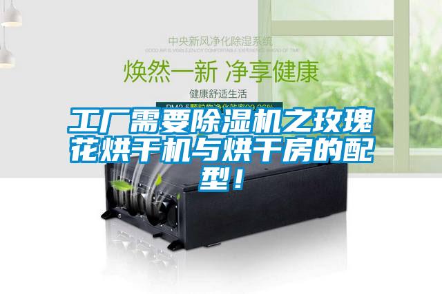 工廠需要除濕機之玫瑰花烘干機與烘干房的配型！
