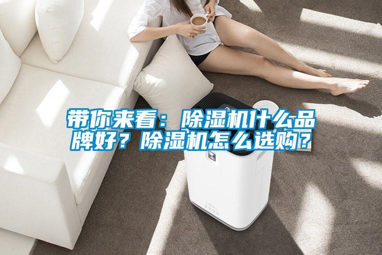 帶你來看：除濕機什么品牌好？除濕機怎么選購？