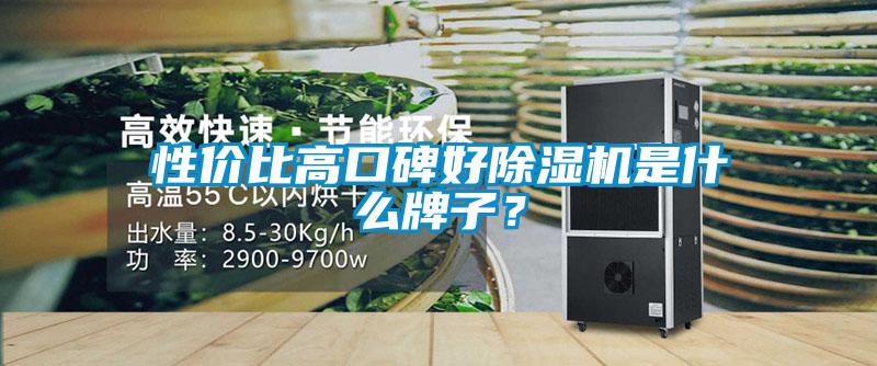 性價(jià)比高口碑好除濕機(jī)是什么牌子？
