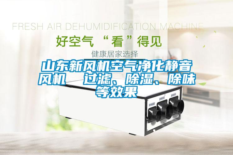 山東新風(fēng)機(jī)空氣凈化靜音風(fēng)機(jī)  過濾、除濕、除味等效果