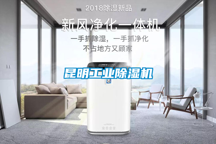 昆明工業(yè)除濕機(jī)