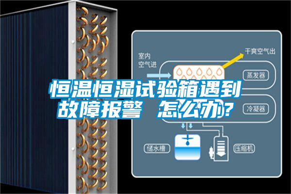 恒溫恒濕試驗(yàn)箱遇到故障報(bào)警 怎么辦？