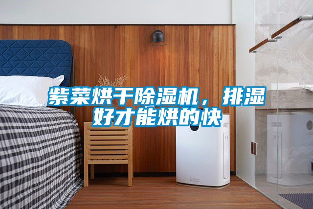 紫菜烘干除濕機，排濕好才能烘的快