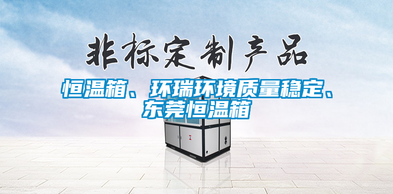 恒溫箱、環瑞環境質量穩定、東莞恒溫箱