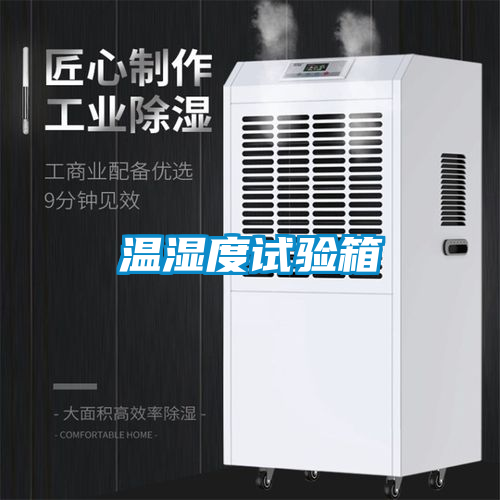 溫濕度試驗(yàn)箱