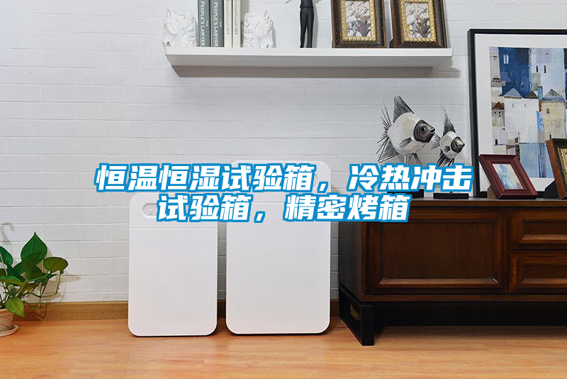 恒溫恒濕試驗箱，冷熱沖擊試驗箱，精密烤箱