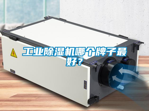 工業(yè)除濕機哪個牌子最好？