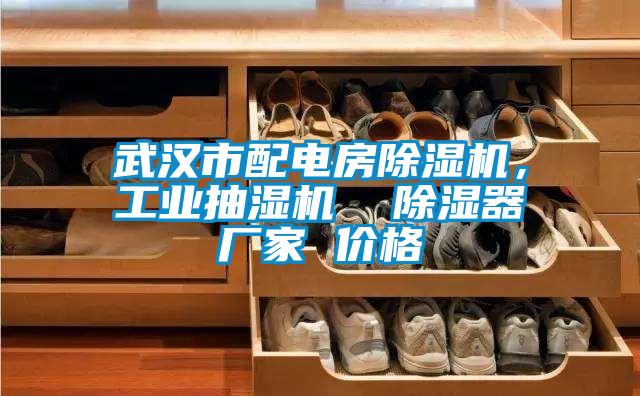 武漢市配電房除濕機,工業(yè)抽濕機 除濕器廠家 價格