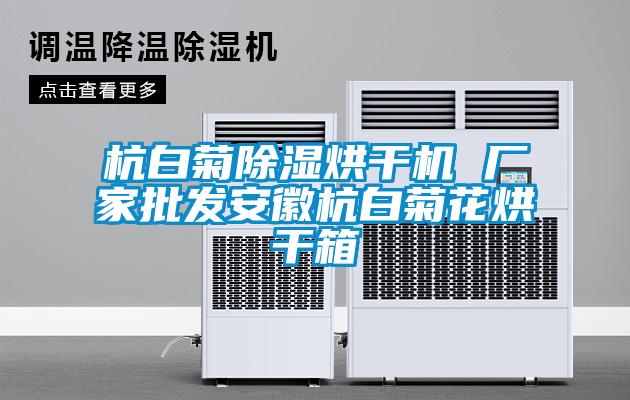 杭白菊除濕烘干機(jī) 廠(chǎng)家批發(fā)安徽杭白菊花烘干箱