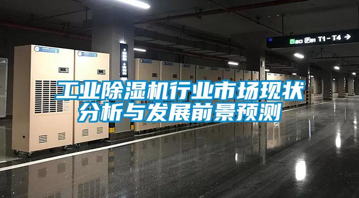 工業(yè)除濕機行業(yè)市場現(xiàn)狀分析與發(fā)展前景預(yù)測