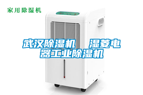 武漢除濕機  濕菱電器工業(yè)除濕機