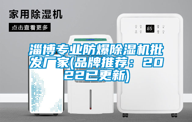 淄博專(zhuān)業(yè)防爆除濕機(jī)批發(fā)廠家(品牌推薦：2022已更新)