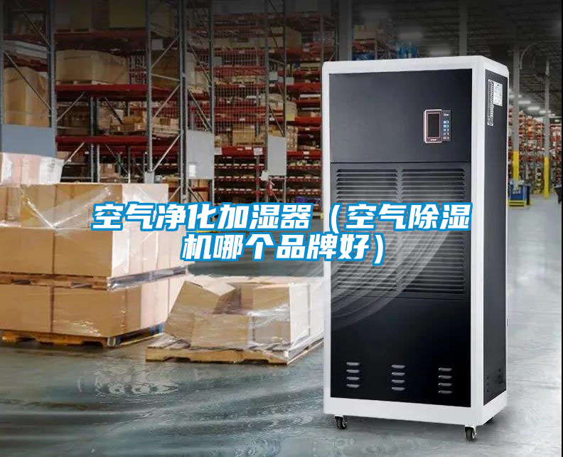空氣凈化加濕器（空氣除濕機(jī)哪個(gè)品牌好）