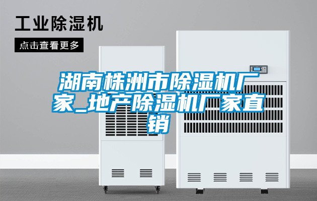 湖南株洲市除濕機廠家_地產(chǎn)除濕機廠家直銷