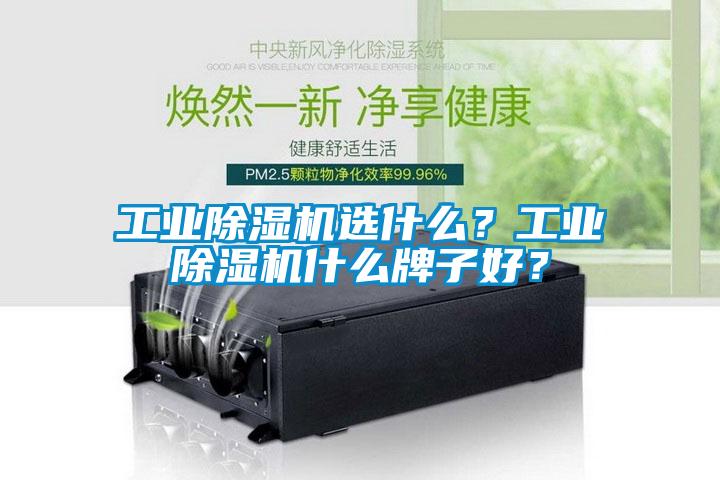 工業(yè)除濕機選什么？工業(yè)除濕機什么牌子好？