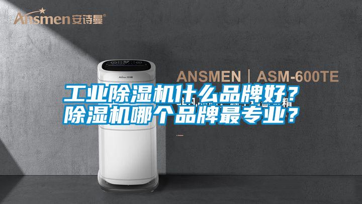 工業除濕機什么品牌好？除濕機哪個品牌最專業？