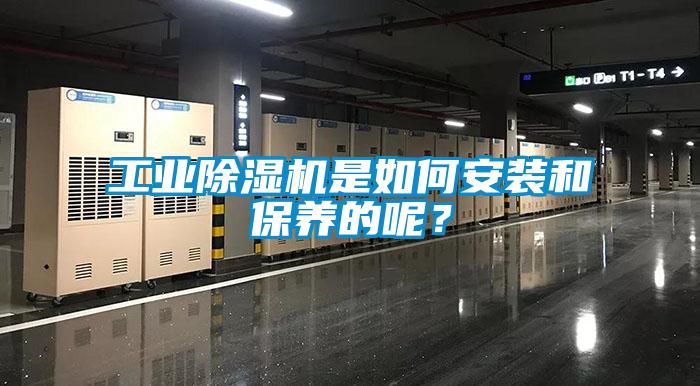 工業除濕機是如何安裝和保養的呢？