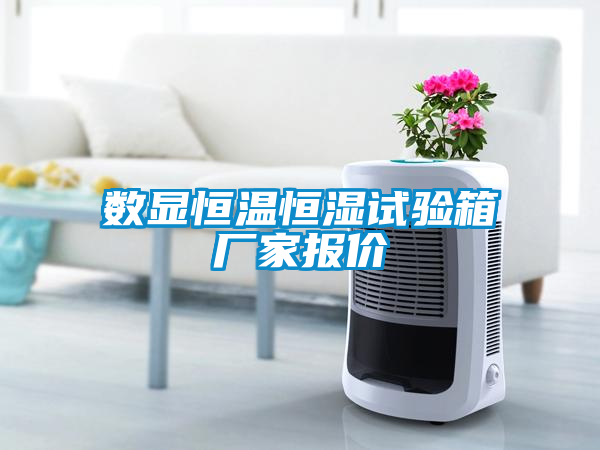 數(shù)顯恒溫恒濕試驗(yàn)箱廠家報(bào)價(jià)