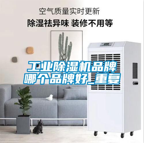 工業(yè)除濕機(jī)品牌哪個(gè)品牌好_重復(fù)