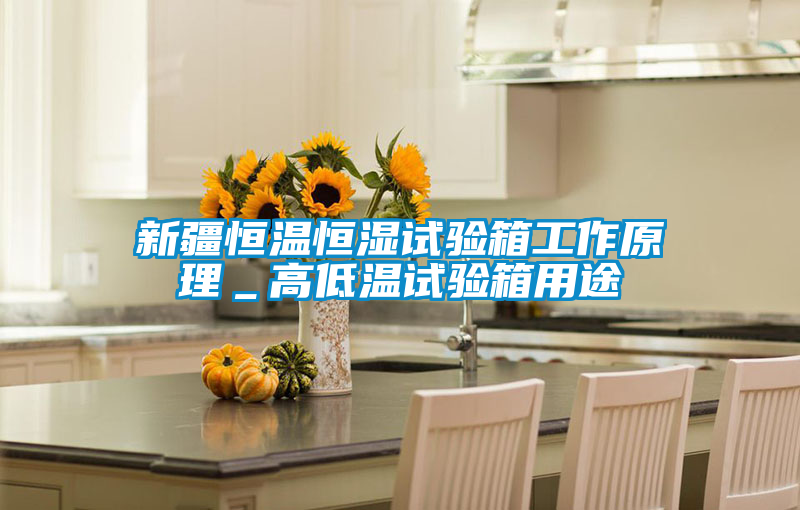 新疆恒溫恒濕試驗箱工作原理_高低溫試驗箱用途