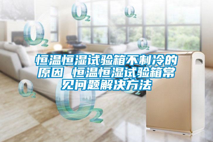 恒溫恒濕試驗(yàn)箱不制冷的原因 恒溫恒濕試驗(yàn)箱常見問(wèn)題解決方法