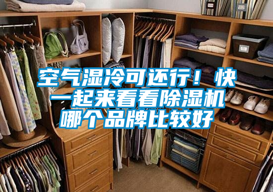 空氣濕冷可還行！快一起來看看除濕機哪個品牌比較好