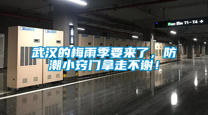 武漢的梅雨季要來了，防潮小竅門拿走不謝！