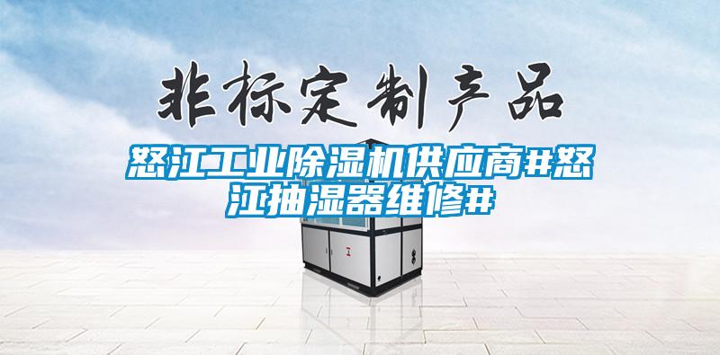 怒江工業除濕機供應商#怒江抽濕器維修#