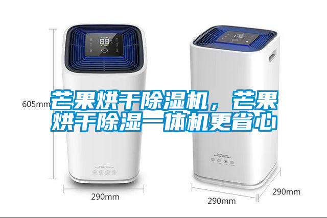 芒果烘干除濕機，芒果烘干除濕一體機更省心