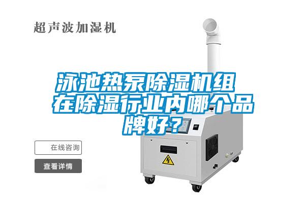泳池熱泵除濕機組 在除濕行業(yè)內哪個品牌好？