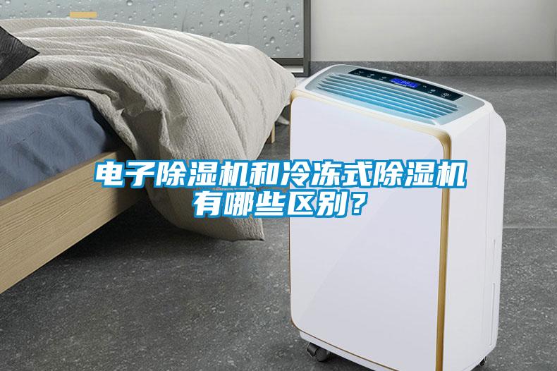 電子除濕機和冷凍式除濕機有哪些區別？
